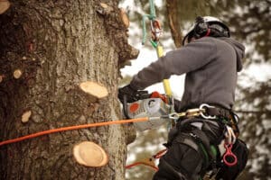 cutting branches with chainsaw